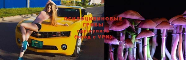 гашик Алексеевка