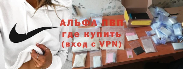 гашик Алексеевка