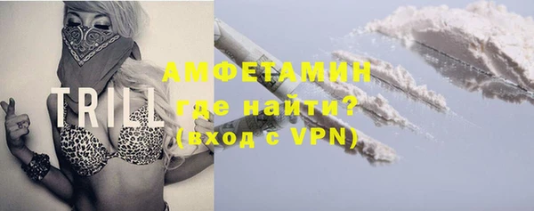 гашик Алексеевка