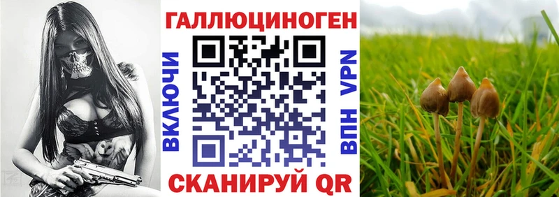 Галлюциногенные грибы Magic Shrooms  omg рабочий сайт  Нягань  наркотики 