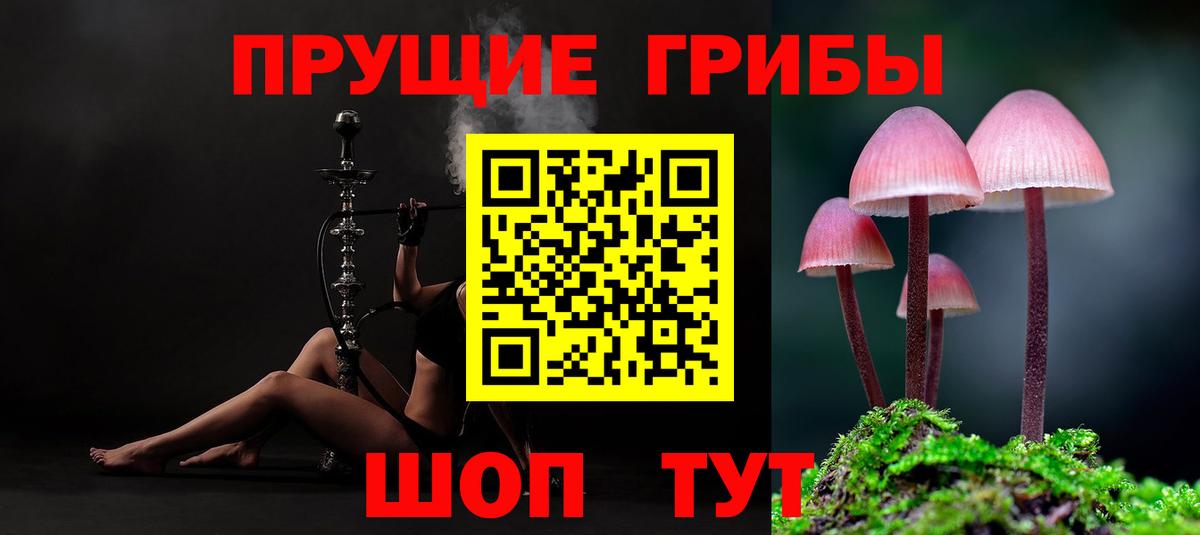 Галлюциногенные грибы мухоморы  купить наркоту  Нягань  Вход с VPN  Псилоцибиновые грибы мицелий 